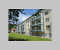 Hausrückseite